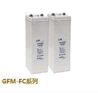 光宇GFM-FC系列电池
